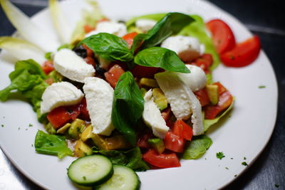 Close-up of salad served in plate