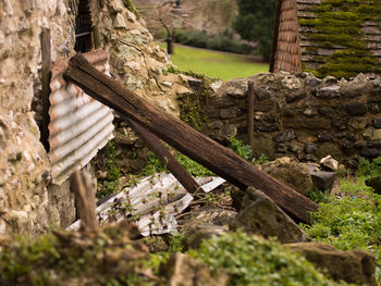 Close-up of wooden wall by house in forest