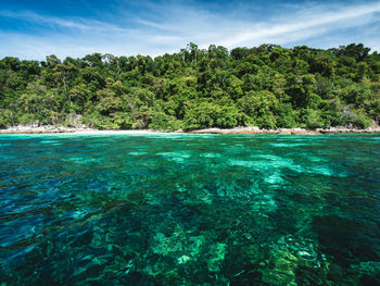 Scenic view of sea against sky