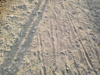 High angle view of tire tracks on beach