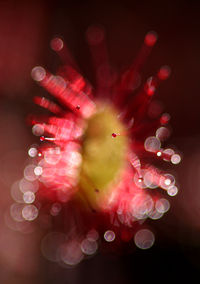 Close-up of abstract lights