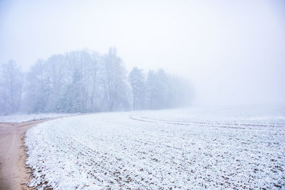 Road amidst trees on field during winter against sky