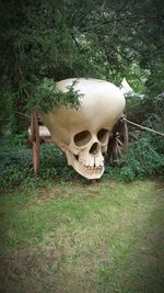 View of grassy field