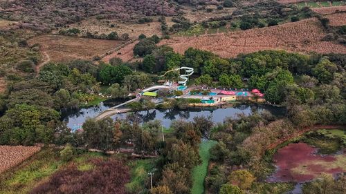 High angle view of plants on lake