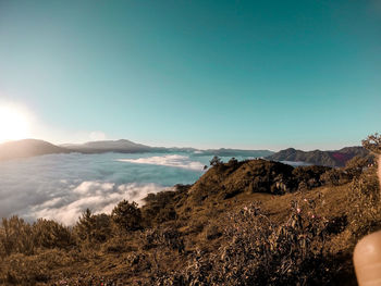 Scenic view of landscape against clear sky