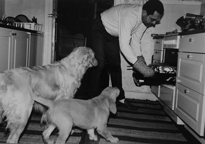 Dogs looking at man keeping food in oven