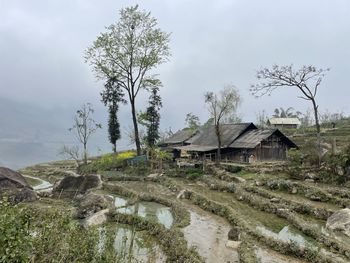 Les rizières et une maison dans le brouillard au nord du vietnam 