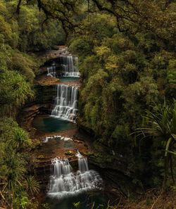 Scenic view of waterfall in forest