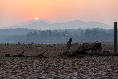 Scenic view of field against sky during sunset