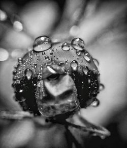 Close-up of man wearing mask