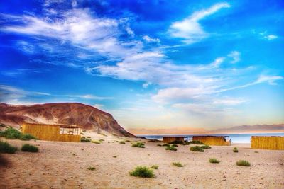 Scenic view of landscape against blue sky