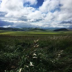 Scenic view of field against sky