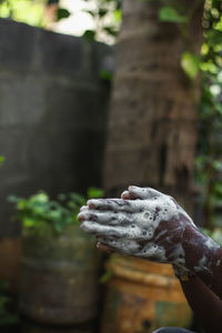 Close-up of hand holding plant