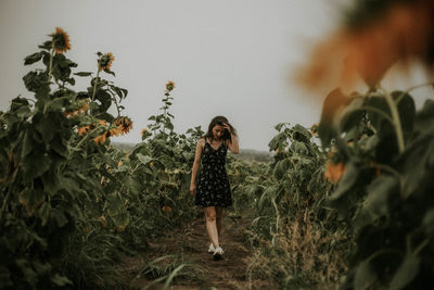 Young woman walking at sunflower farm