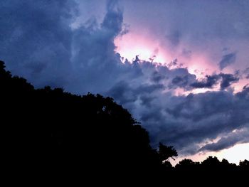 Low angle view of silhouette trees against sky during sunset