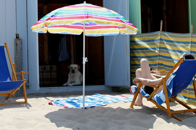 Person relaxing on chair with labrador retriever in hut at beach