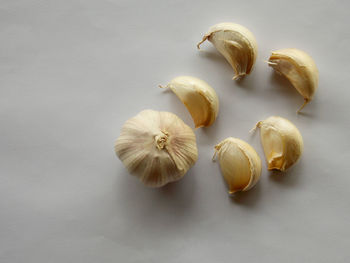 High angle view of garlic on white background
