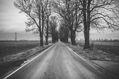 Road amidst bare trees on field against sky