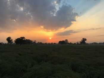 Scenic view of field against sky during sunset