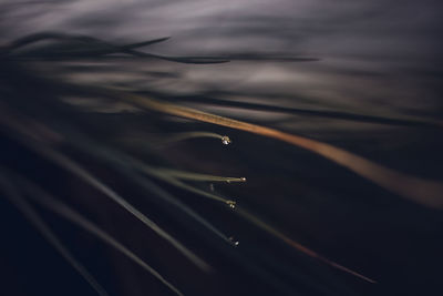 Full frame shot of wet water at night