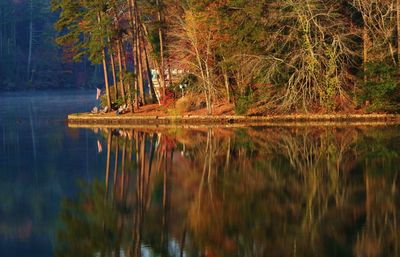 Autumn trees reflecting on calm lake