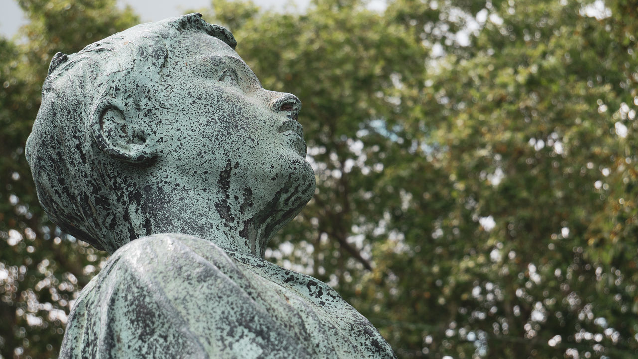 CLOSE-UP OF ANGEL STATUE AGAINST TREES