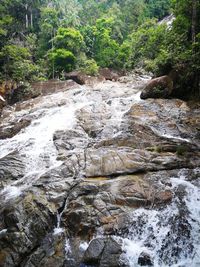 Stream flowing through rocks in forest