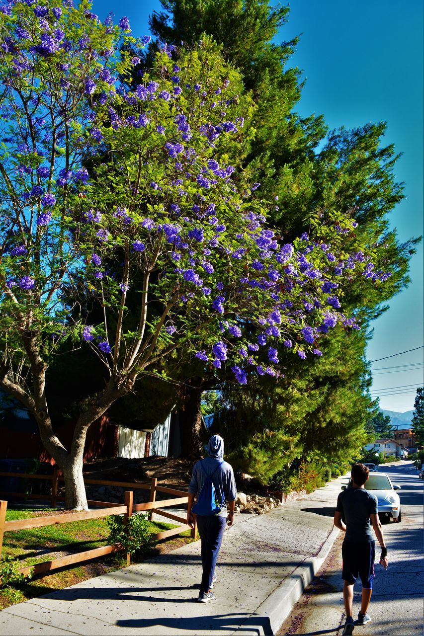 REAR VIEW OF MAN WALKING ON FOOTPATH IN PARK