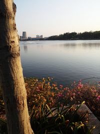 Scenic view of sea against clear sky