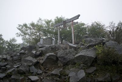 Steps leading towards stone wall