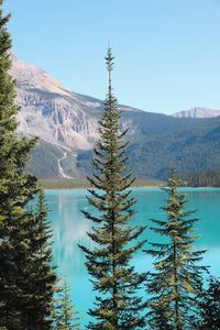 Scenic view of mountains against clear blue sky
