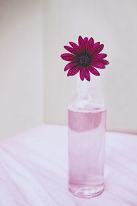 Close-up of drink on table