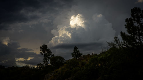 Low angle view of silhouette trees against storm clouds