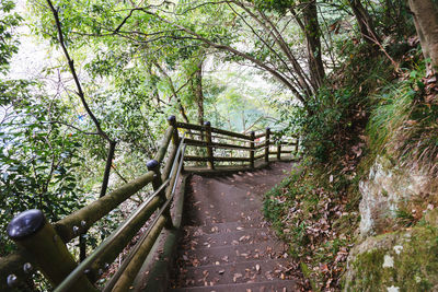 Footbridge amidst trees in forest against sky