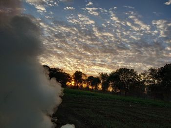 Trees on field against sky during sunset