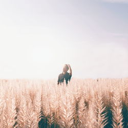 Man standing on agricultural field against sky during sunny day