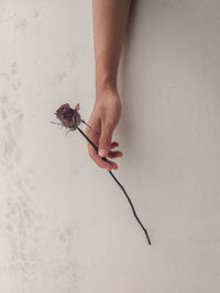 High angle view of woman hand against wall
