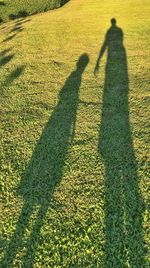 Shadow of person on field