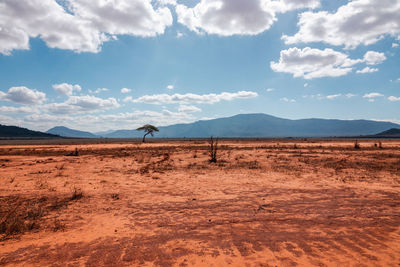 Scenic view of arid landscapes against tsavo national park in kenya