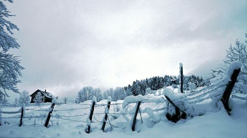 Scenic view of snow covered landscape