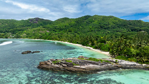 Tropical foliage along the shoreline with crystal clear water. anse forbans. seychelles, mahe.