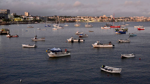 High angle view of sailboats in sea