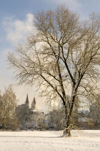 Bare tree by building against sky during winter