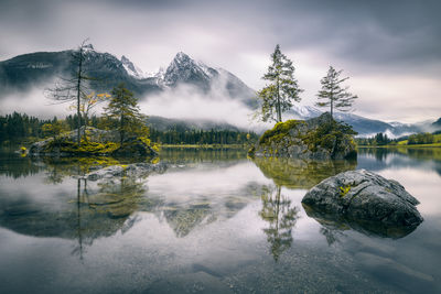 Scenic view of lake by trees against sky