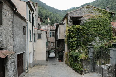 Narrow alley amidst buildings in town