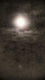 Low angle view of trees