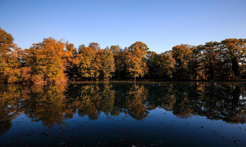 Reflection of trees in lake against clear sky
