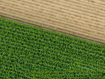 Full frame shot of hay