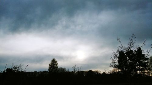 Low angle view of silhouette trees on field against sky