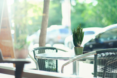 Close-up of drink on table